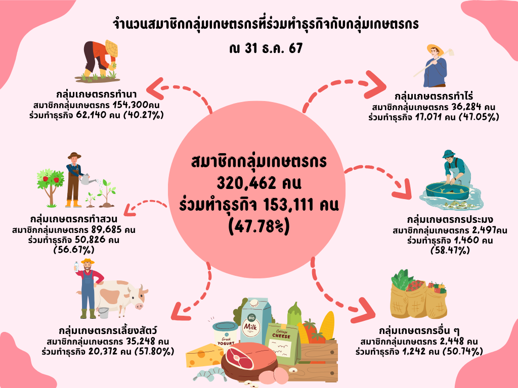 infographic 11