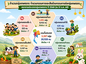 infographic11