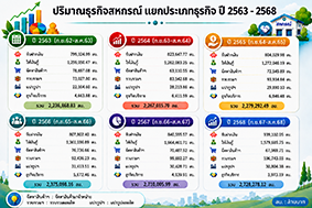 infographic22