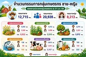 infographic24