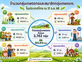 infographic3