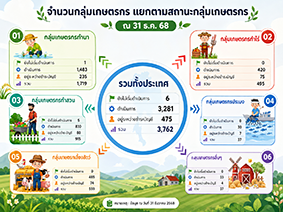 infographic4
