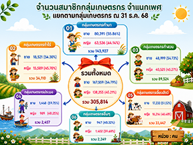 infographic5