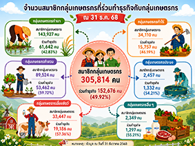 infographic6