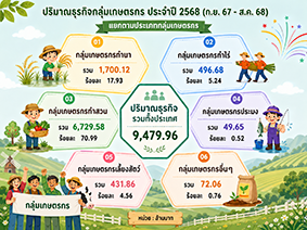 infographic8